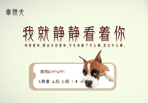 拳师犬我就静静看着你