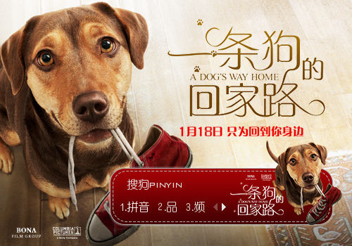 《一条狗的回家路》
