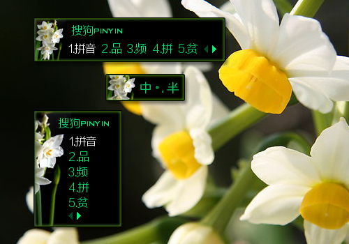 【枕头】暗香·水仙