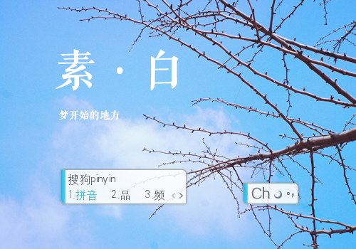 素·白