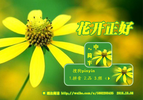 湘汝倚沫-花开正好