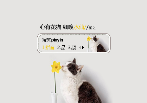 【星之】心有花猫,细嗅水仙