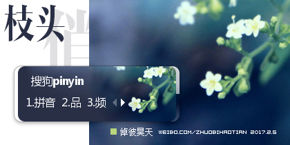 倬彼昊天·枝头俏
