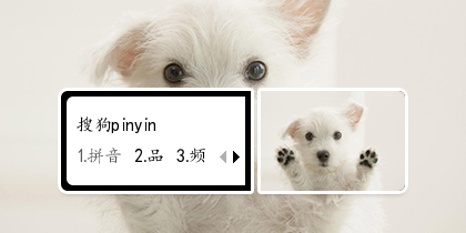 汪星人