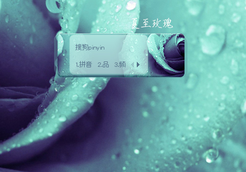夏至玫瑰