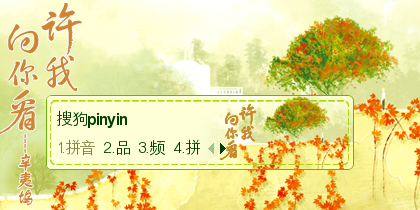 许我向你看