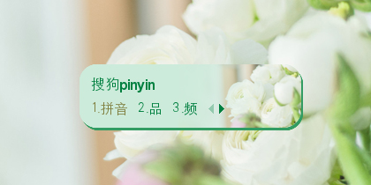白玫瑰