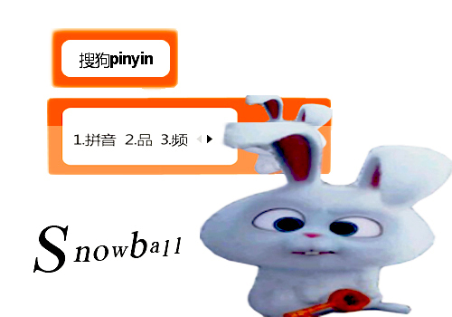 小白