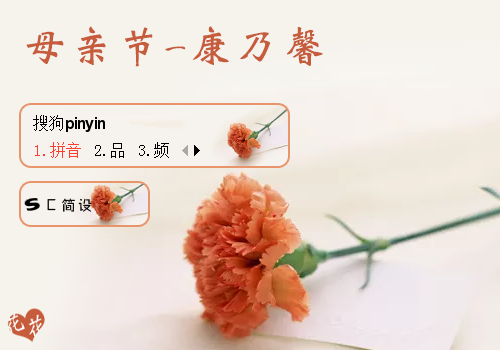 母亲节-康乃馨
