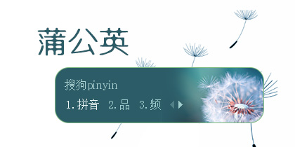 蒲公英