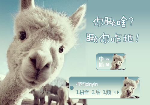 你瞅啥草泥马