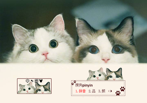 【玩家投稿】猫咪-狐狸馒头