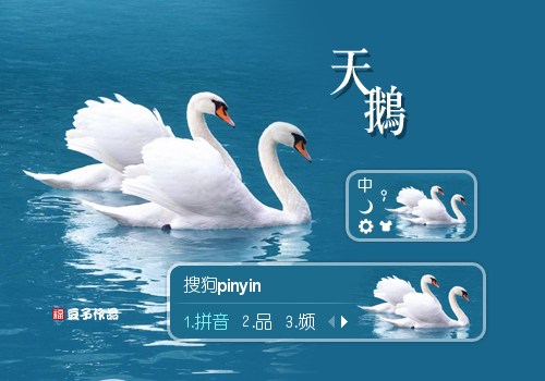 天鹅