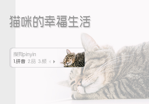 猫咪的幸福生活