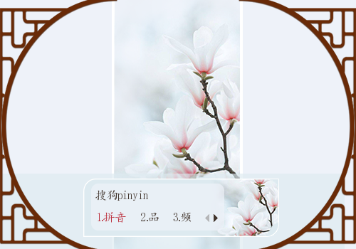 【华】玉兰花