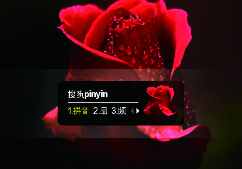 铿锵玫瑰