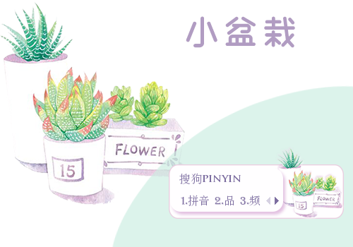 小盆栽·多肉