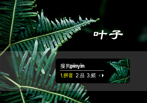 黑色简约·叶子