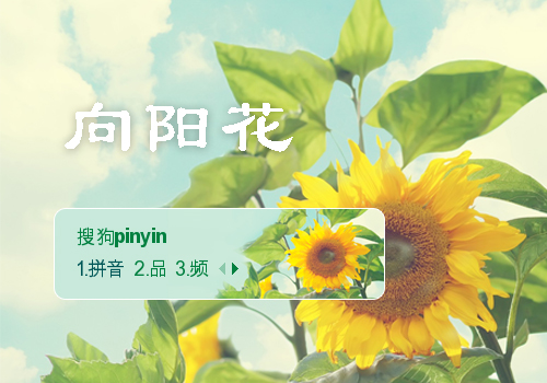 向阳花