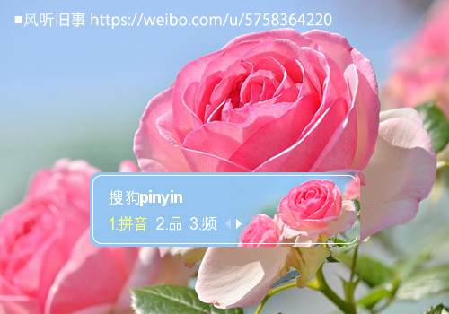 如花似锦