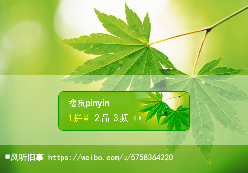 绿色护眼·叶