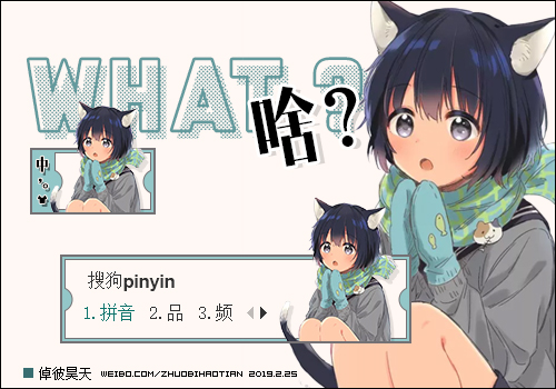 倬彼昊天猫娘