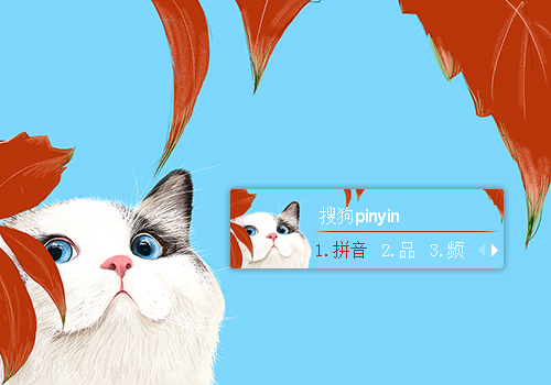 喵咪