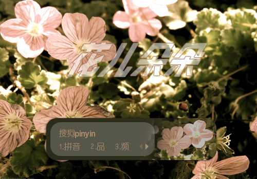 花儿朵朵
