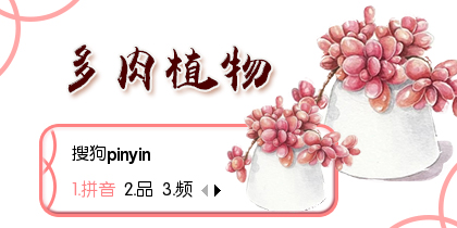 多肉植物