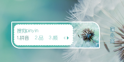 蒲公英