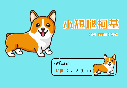 小短腿柯基