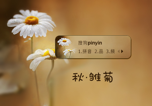 【笙葙】秋·雏菊