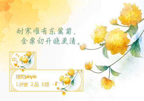 菊花