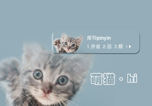 hi·萌猫
