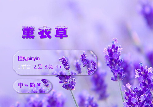 薰衣草