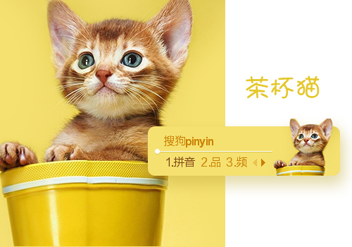 茶杯猫