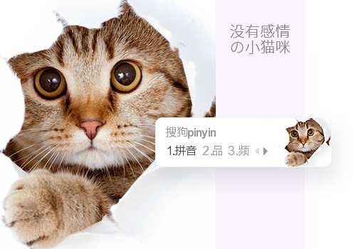 小猫咪