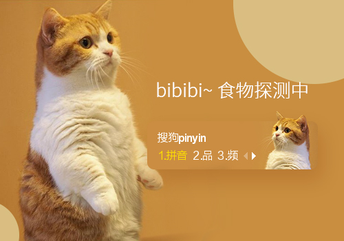 bibibi~食物探测器