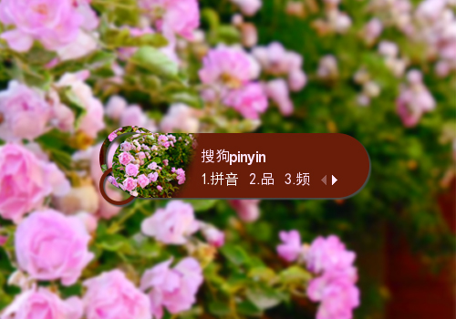 【栗子】蔷薇