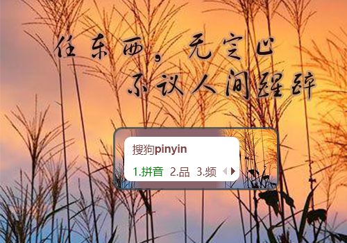芦苇夕照
