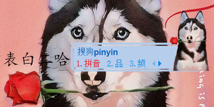 表白二哈