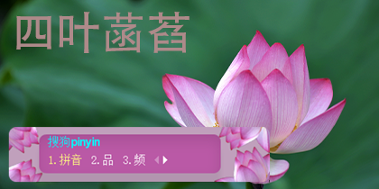 四叶菡萏